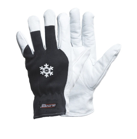 Gloves Pro Dex 12 5659