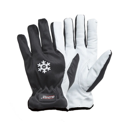 Gloves Pro Dex 11 5650