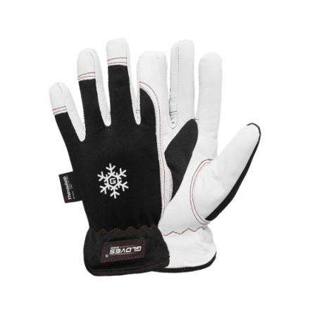 Gloves Pro Dex 10 5654