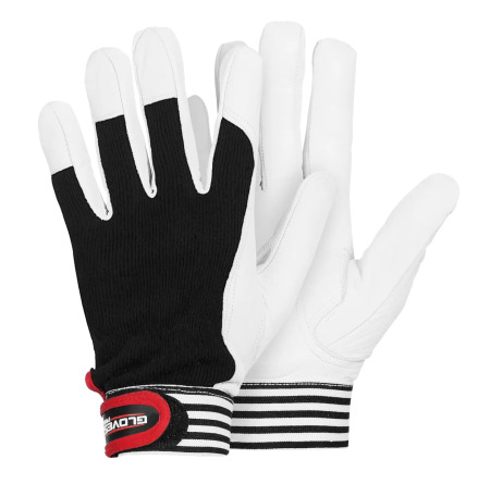 Gloves Pro Dex 6 5638